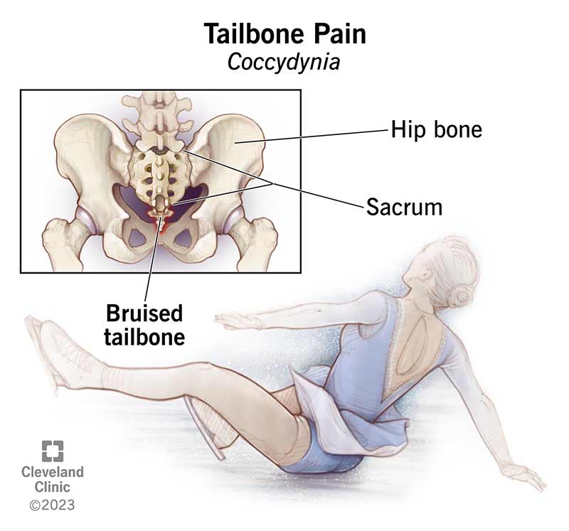 Tail Bone