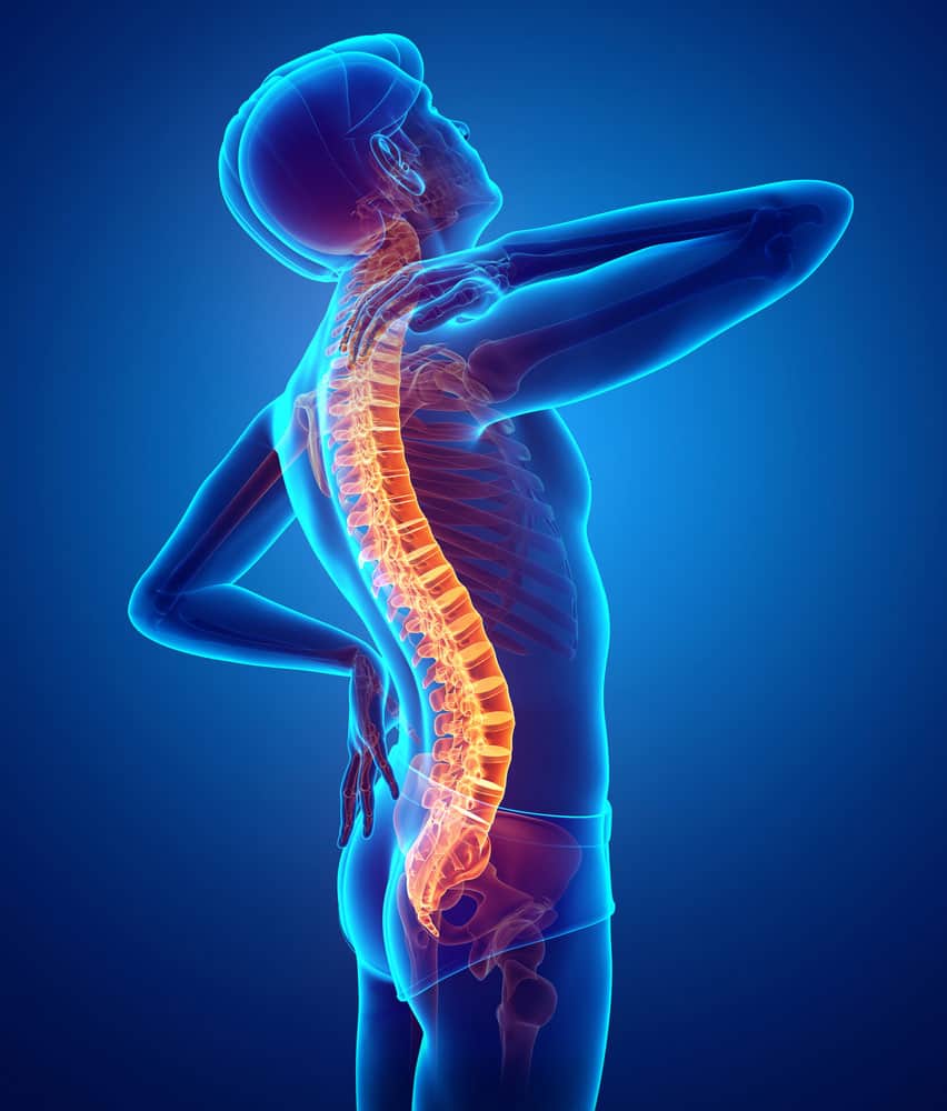 Low Back Pain